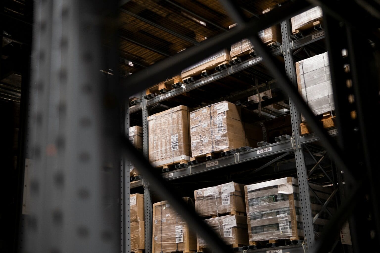 The Digital Backbone of the Warehouse: Trends Shaping the 2026 WMS ...